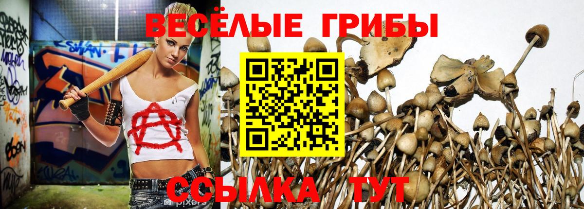 Псилоцибиновые грибы ЛСД  закладка  Урай  Вход с VPN 